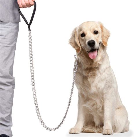 Dog Leash PM 